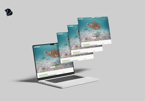 Lago Bay: Wix Studio Website & SEO Growth