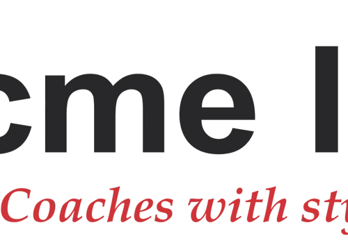 Represented ACME India in Trade Fair