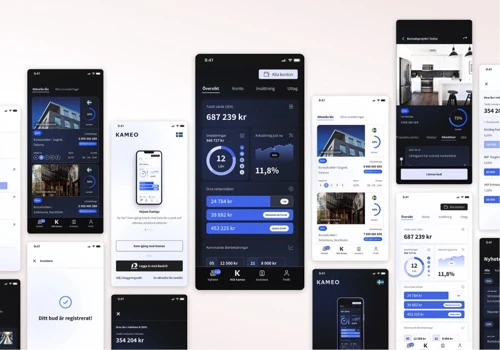New investment platform for Kameo