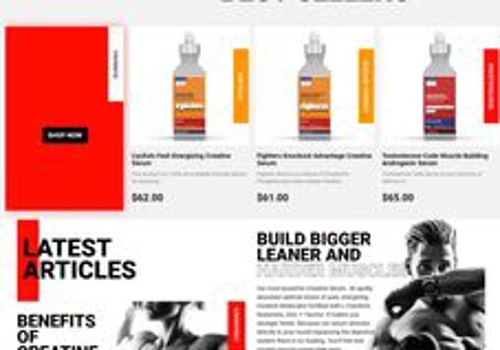Ecommerce Website Development