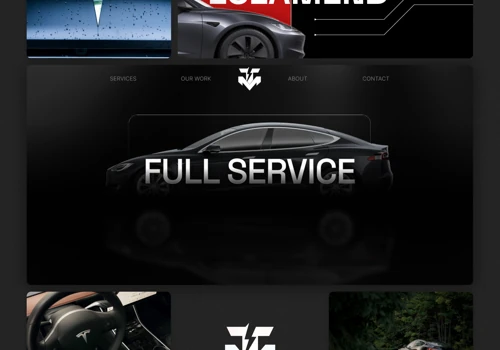 TeslaMend Branding