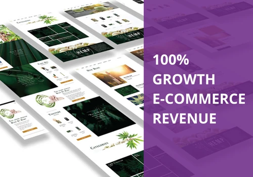 100% E-Commerce Revenue Growth following Lifestyle Redesign.