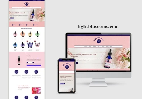 Ecommerce Store/Website