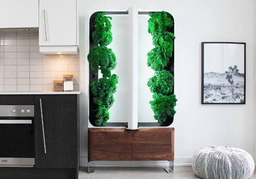 In-Home Hydroponic Garden