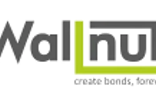 SEO for Wallnut Building Solutions