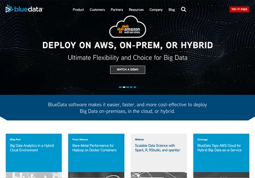 Web Design for BlueData