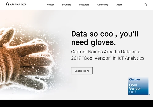 Web Design for Arcadia Data