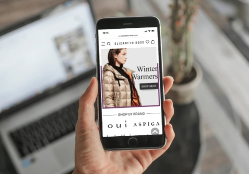 Ecommerce Consulting