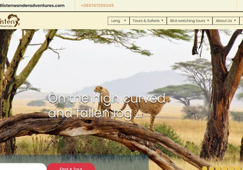 Travel WEb Development