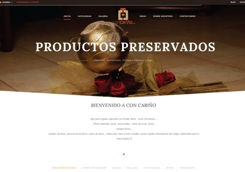 Concari  Website