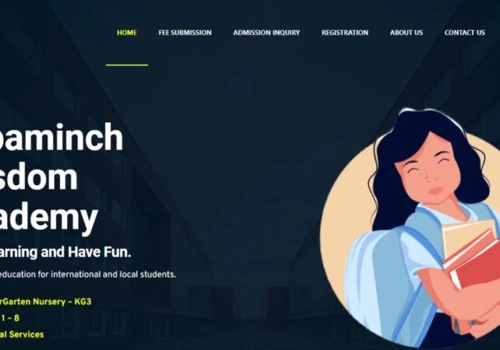 Arbaminch Wisdom Academy (Web design & development