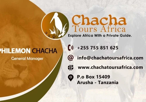 Chacha Tours Africa Business Card