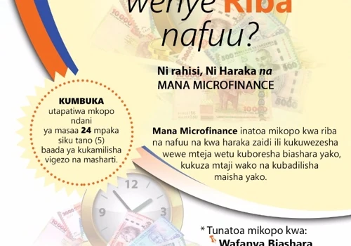 Mana Microfinance Flyer
