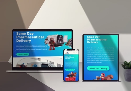 Web Development of Pharmaceutical Delivery Company