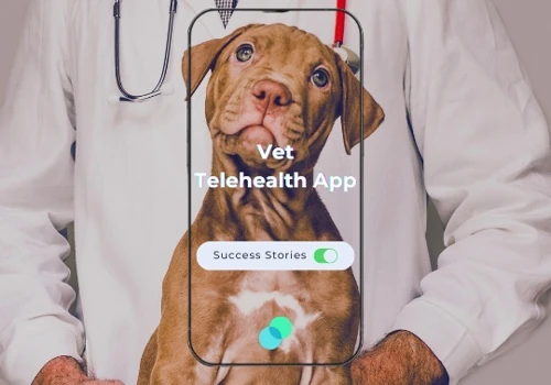 Vet Telehealth App