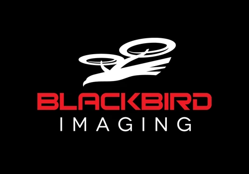 Blackbird Imaging Logo Design