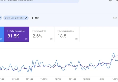 SEO for Ecommerce Website