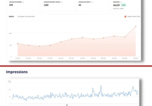 SEO Case Study - CBD Dispensary