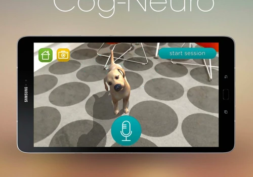Cog-Neuro AR