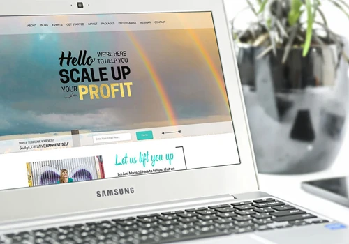 Ecommerce Development