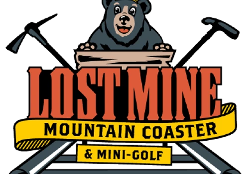 Lost Mine POS, Network, Security, Cameras, Fiber