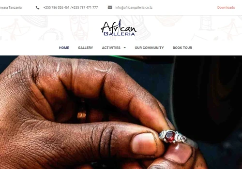 Website Design for African Galleria