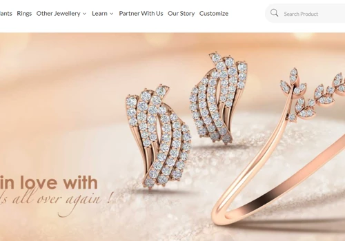Online platform for a lab-grown diamonds maker