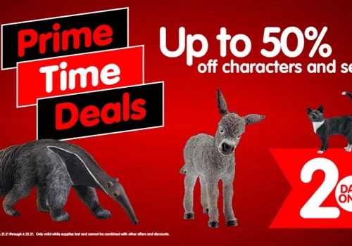 Prime Time Deals