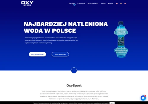 Website development Services