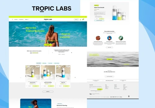 WordPress to Shopify Migration & Enhancement