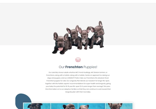 Frenchtons By Design