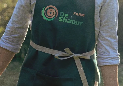Branding for Escargot De Shabur