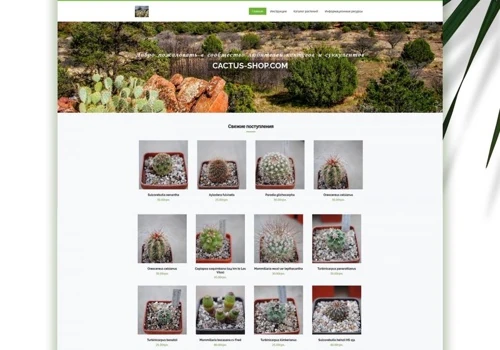 Cactus Online Shop