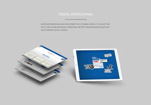 Digital Professional