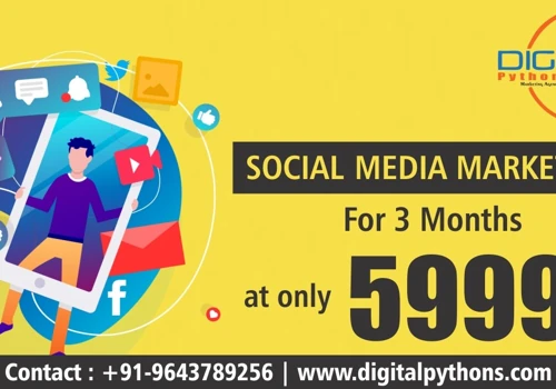 Digital Marketing Services Company in Delhi | Digital Marketing Agency in Delhi & NCR