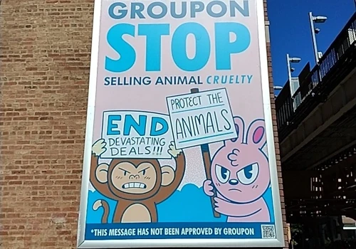 Groupon Media Buy