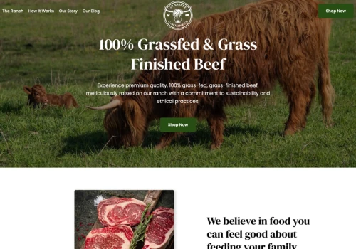 New Website for Grassfed Goodness - Organic Beef