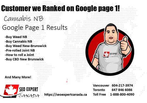 SEO for Cannabis