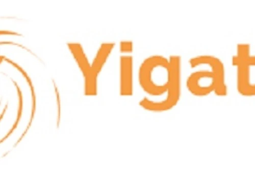 Website Designing Company in india