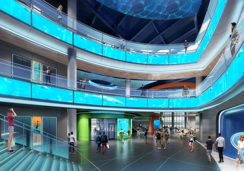 Roto's exhibit design services for aquarium near Sarasota, Florida