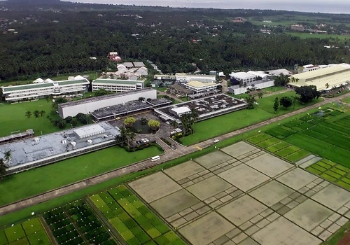 Deployment of IP-PBX for the IRRI Campus