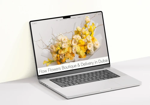Full-Stuck Development of the Online Store in UAE