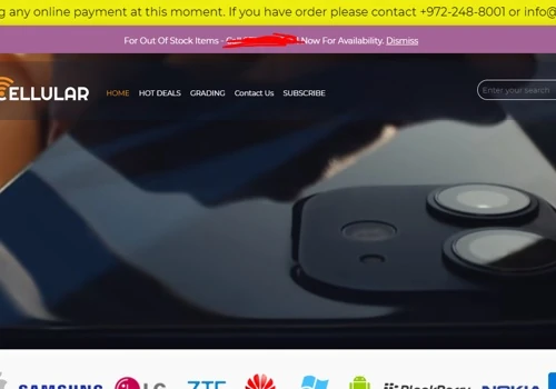 Website Development