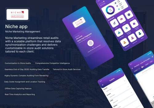 Niche Marketing Audit Platform