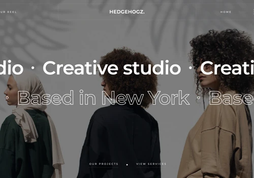 Hedgehogz