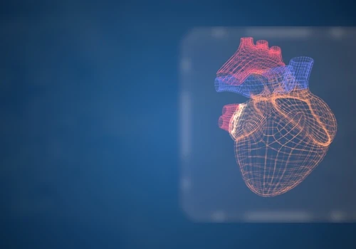 Heart Pump Clinical Training Simulation Platform