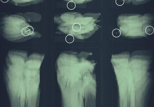 X-RAY Contamination Detection System