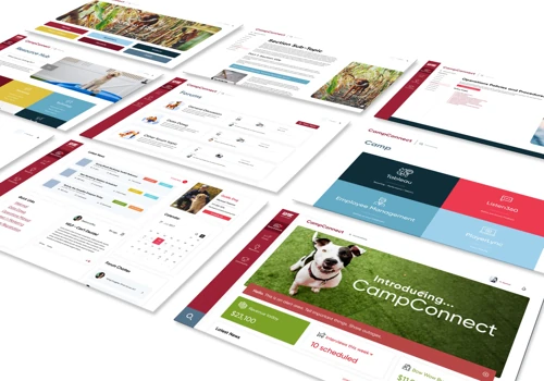 Franchise System Internal Communication Web Design
