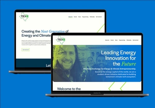 TEX-E Website