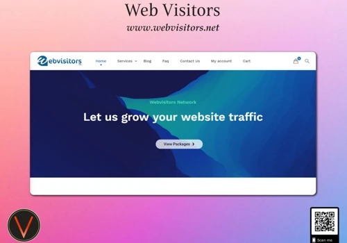 WEB VISITORS